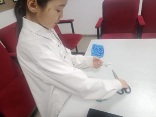 Работа в кружках и студиях.